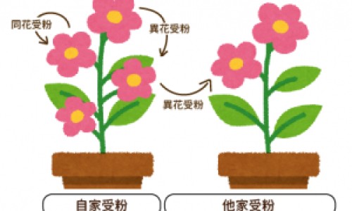 富人和穷人的身体的区别网 | 富人和穷人的本质区别是什么,富人和穷人的身体的区别在哪